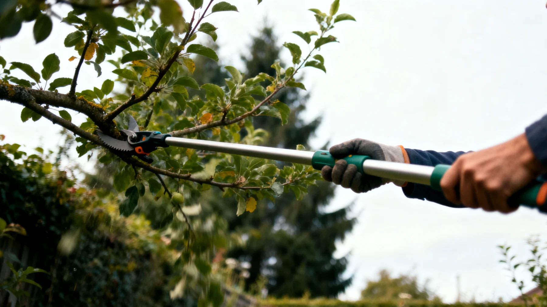 Potatore telescopico"
